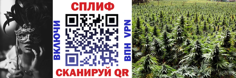Магазины продажи наркотиков Можга СК Меф ГАШ Галлюциногенные грибы Марихуана Амфетамин