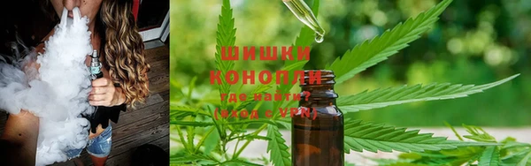 мдпв Шарыпово