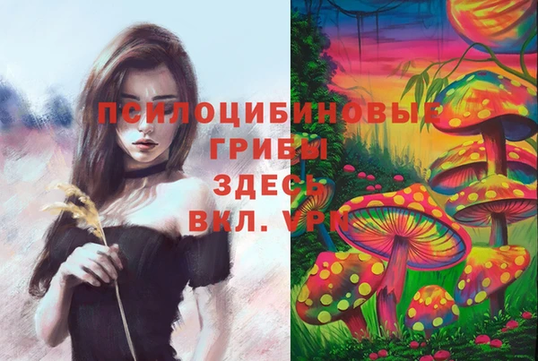 скорость Дмитровск