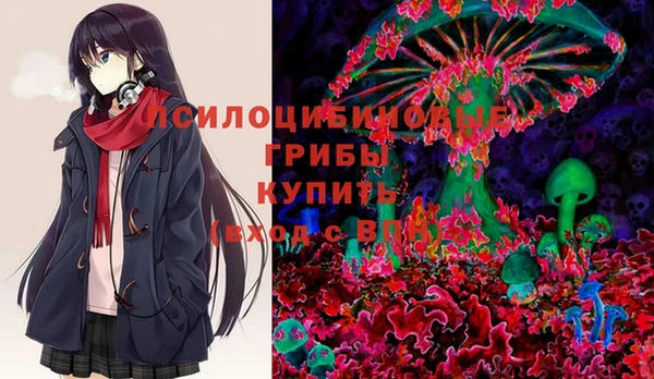 Альфа ПВП Шали