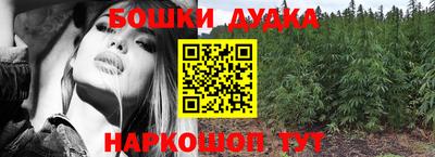 a pvp Камышлов