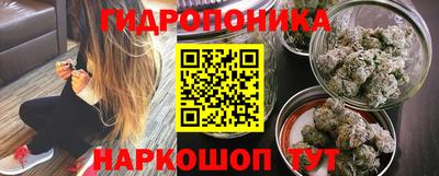 a pvp Камышлов