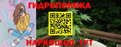a pvp Камышлов