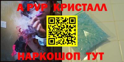 a pvp Камышлов