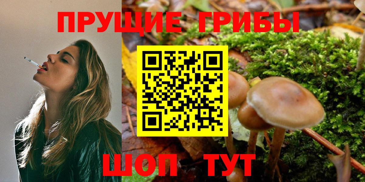 Галлюциногенные грибы MAGIC MUSHROOMS Можга