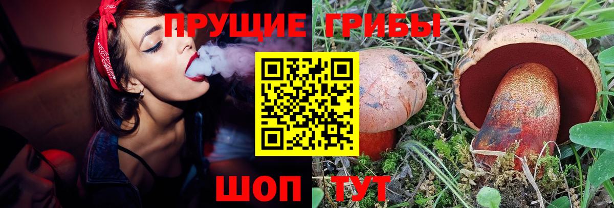 Галлюциногенные грибы MAGIC MUSHROOMS Можга