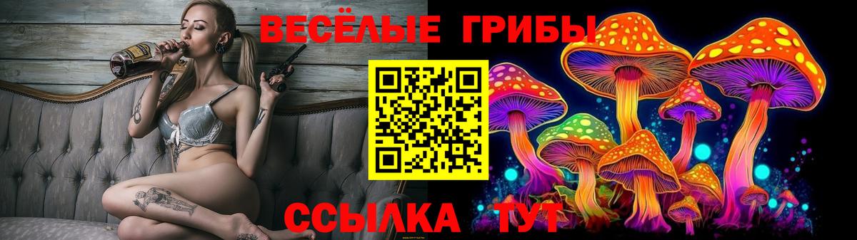 Псилоцибиновые грибы прущие грибы  Вход с VPN  Можга 